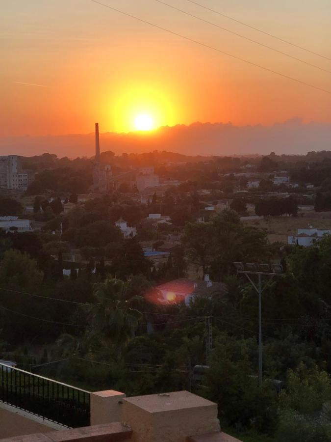 Apartemento Monika Monte Pedrera C 4 Top Aussicht دينايا المظهر الخارجي الصورة