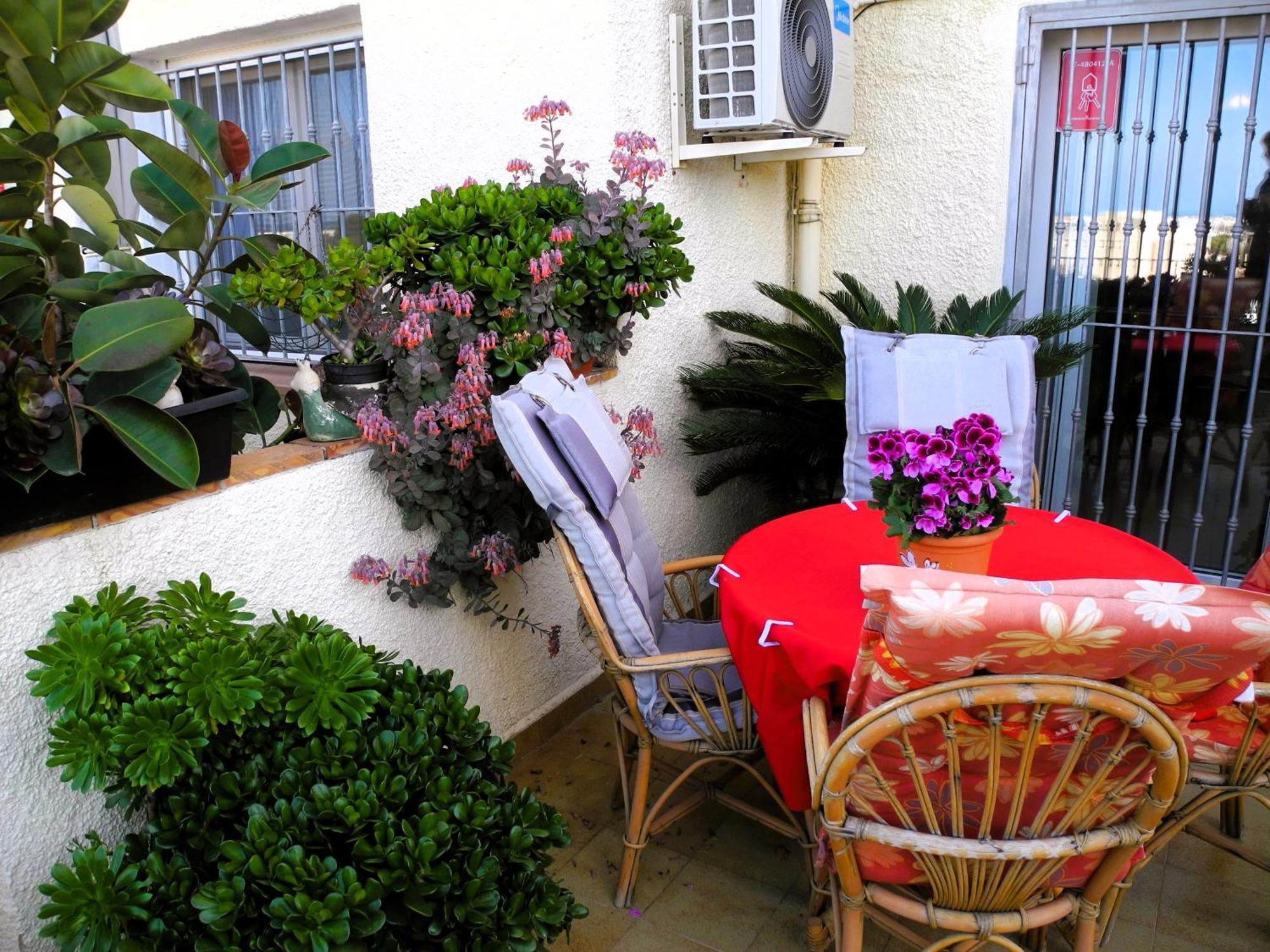 Apartemento Monika Monte Pedrera C 4 Top Aussicht دينايا المظهر الخارجي الصورة